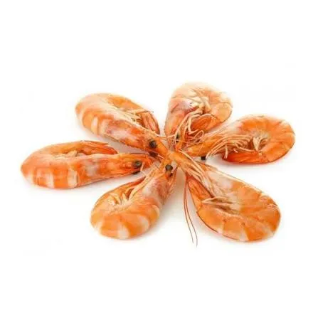 CREVETTE
