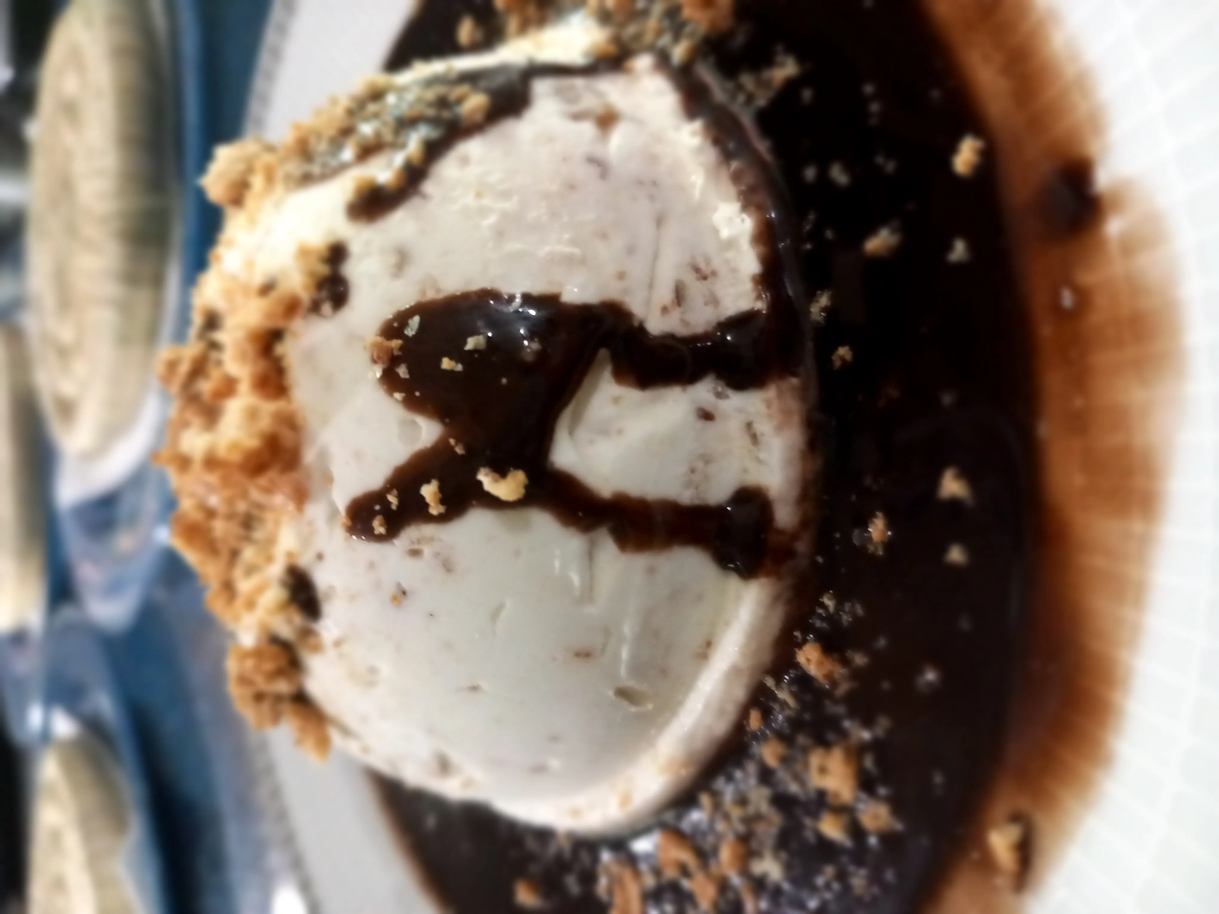 SEMIFREDO CHOCOLATE FRUTOS SECOS