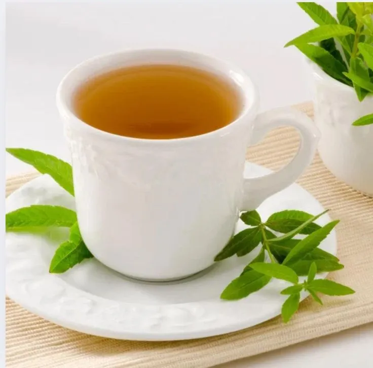 Verveine