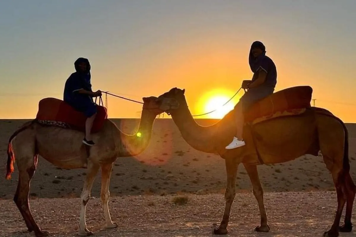 Camel Ride Experience