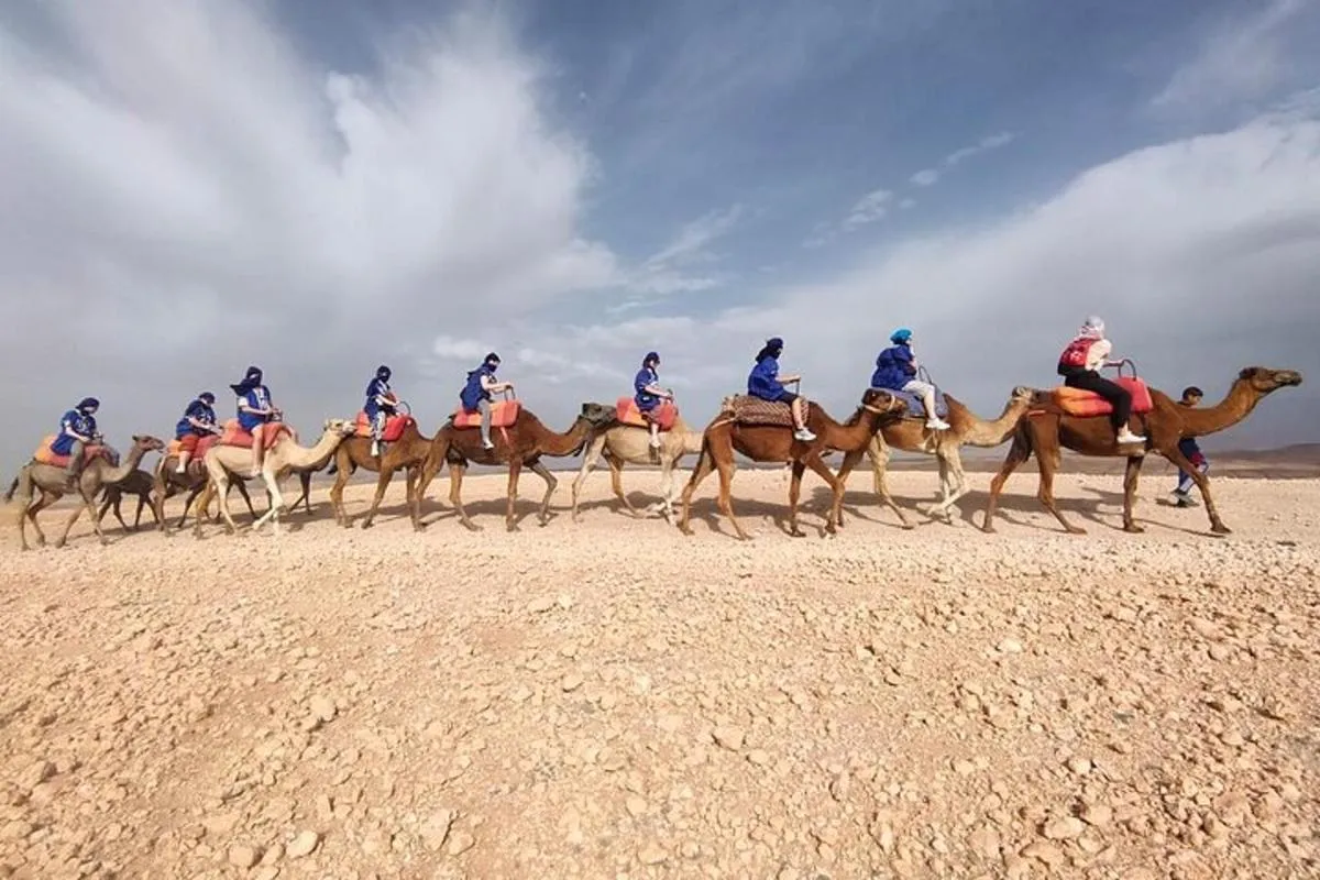 Camel Ride Experience