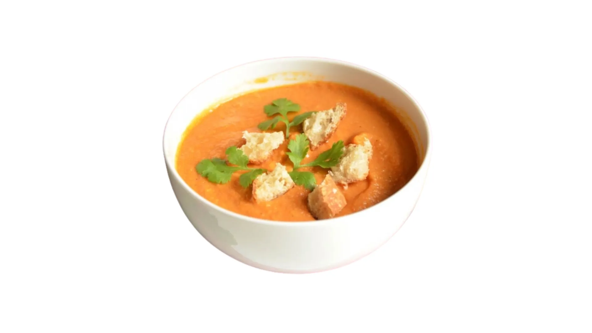 Sopa de verduras servida con picatostes sazonados