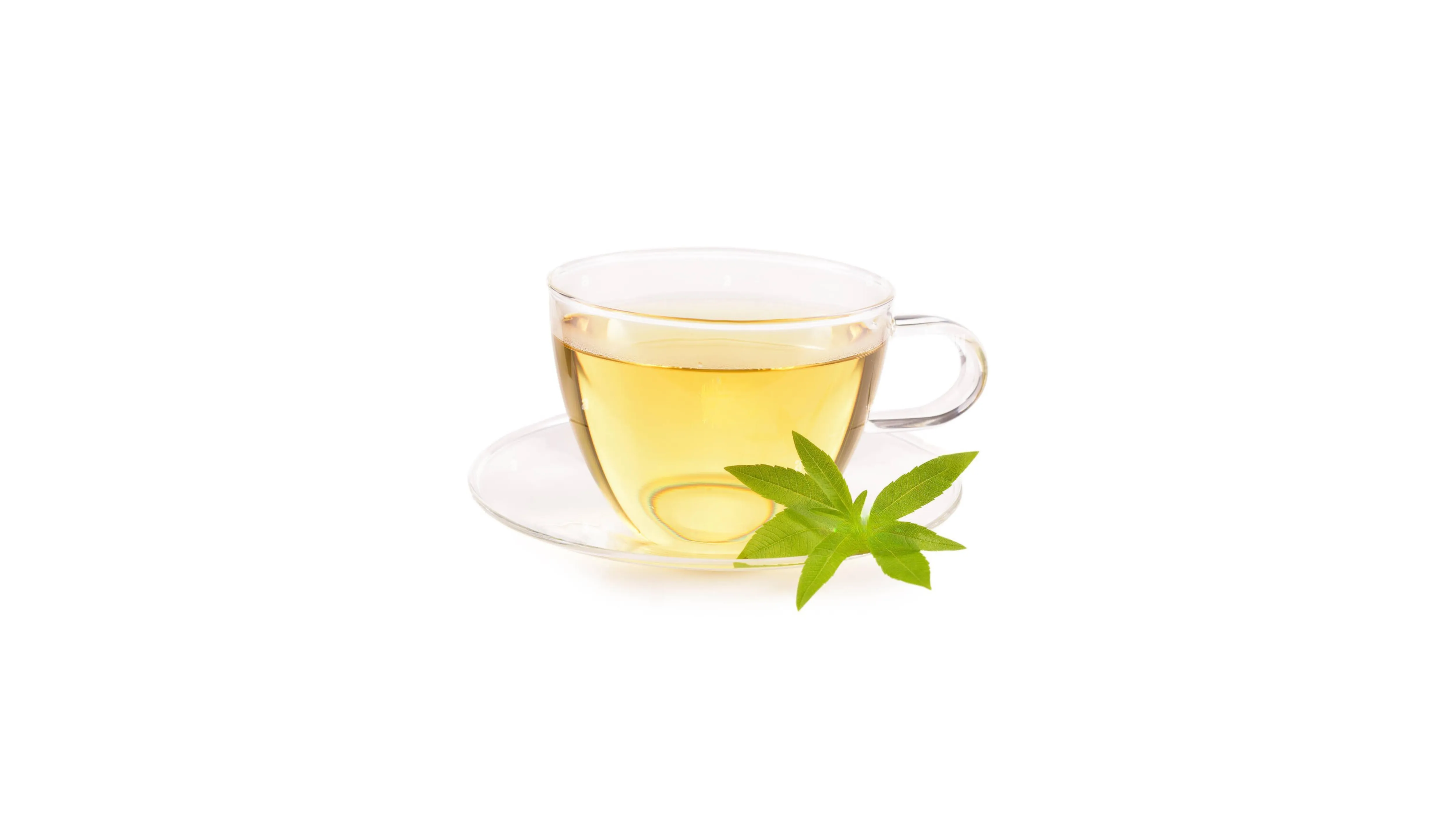 VERVEINE