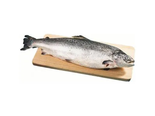 Saumon