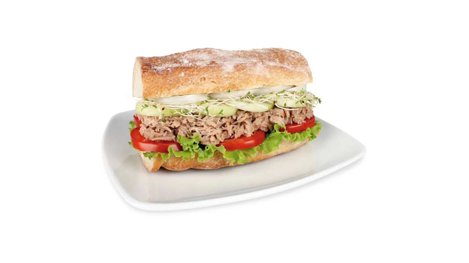 Sandwich Thon