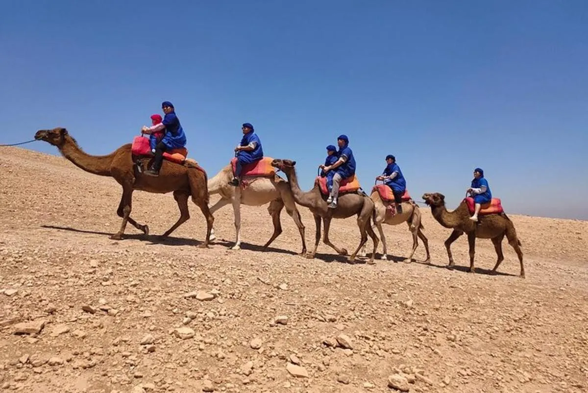 Camel Ride Experience